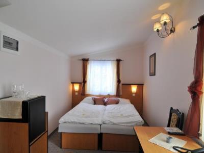 Hotel Manes Svratka Exterior photo