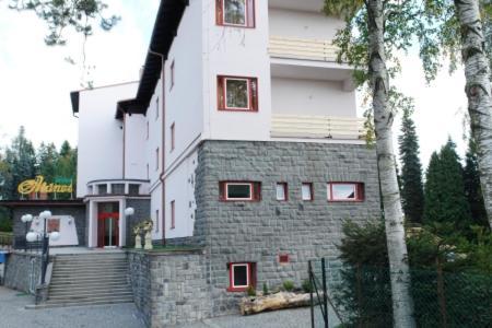 Hotel Manes Svratka Exterior photo
